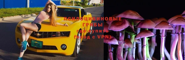 мет Баксан
