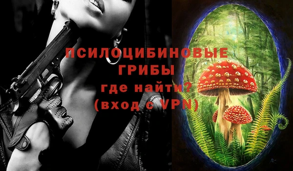 мет Баксан